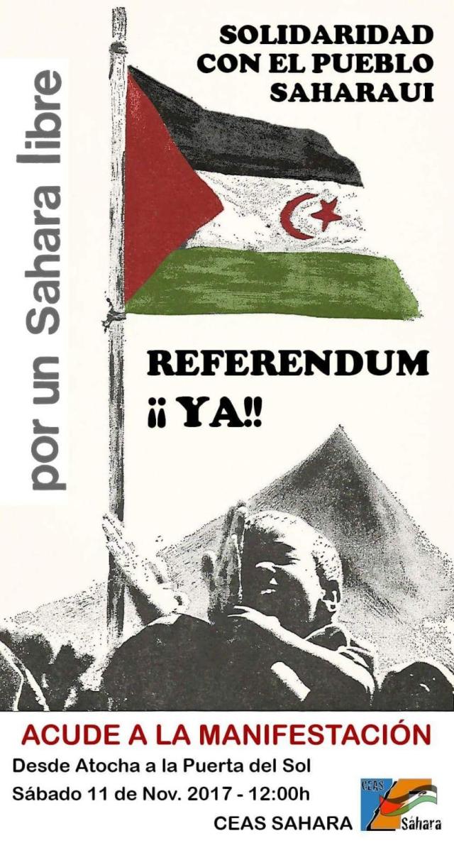 referendum sahara